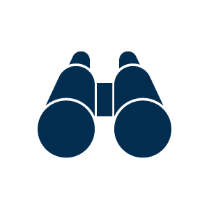 Binoculars icon