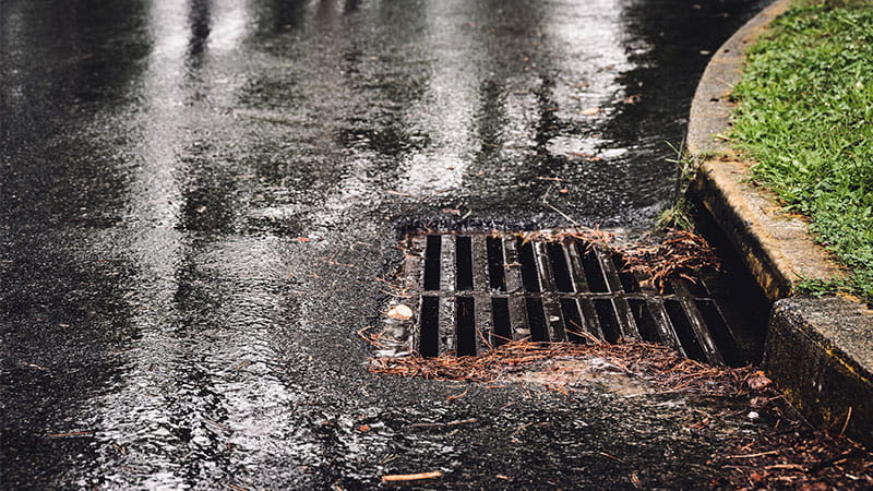 Close-up view of a drain to the side of a wet street. A curb runs along the right side with grass growing next to it. 